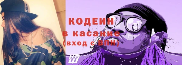 ешки Пересвет