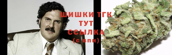 ешки Пересвет